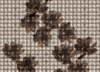 Фото - Обои Wall&Deco CODE 2018 CONTEMPORARY - 464738>