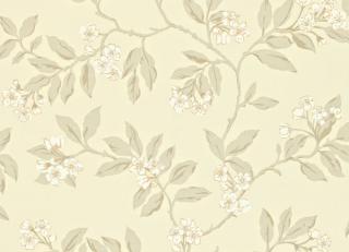 Фото - Обои Sanderson Maycott - 188071>