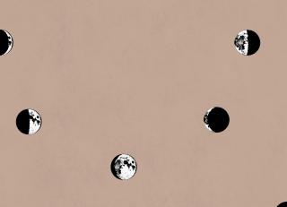 Фото - Обои Coordonne Instant - 580747>