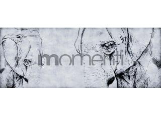 Фото - Обои Momenti Animal Collection - 317636>