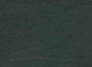 Фото - Ткани Mark Alexander Empire II - 419961>