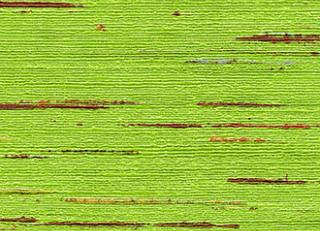 Фото - Обои Elitis Talamone - 378037>