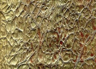 Фото - Итальянские бумажные обои - 342145>