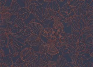 Фото - Обои Casadeco - 552755>