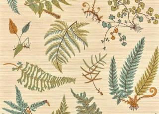 Фото - Обои Pierre Frey Jardins Secrets Wallpapers - 617409>