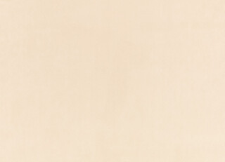 Фото - Ткани Zinc Z Suede - 628827>