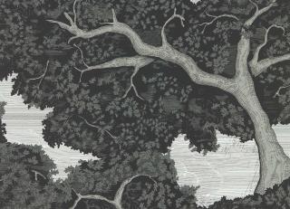 Фото - Обои Harlequin Colour 4 Wallpapers - 566914>