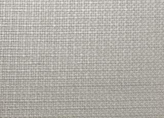 Фото - Ткани Dedar Grand Natte Laminato - 409555>