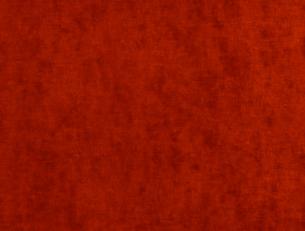 Фото - Ткани GP & J Baker Vintage Velvet - 358874>