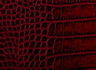 Фото - Аксессуары для интерьера Pavoni - 588800>