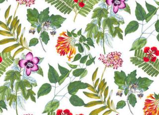 Фото - Обои Pierre Frey Les Dessins - 311141>