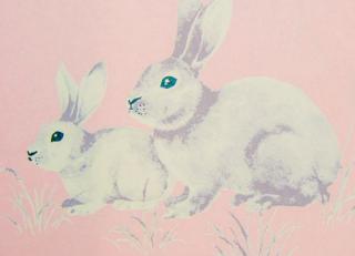 Фото - Обои Milassa Twins - 329054>