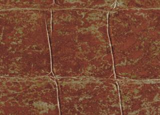 Фото - Обои Elitis Anguille Big croco Legend - 469477>