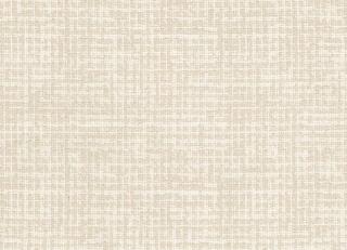 Фото - Ткани Rubelli Citymap - 572525>