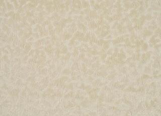 Фото - Ткани Pierre Frey Natecru Jacquards - 598340>