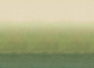 Фото - Обои Omexco Joy - 611843>