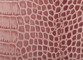 Фото - Аксессуары для интерьера Pavoni - 588799>