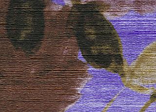 Фото - Обои Elitis Talamone - 378055>