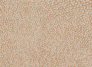 Фото - Аксессуары Pavoni Кожа Galuchat Shagreen - 588826>