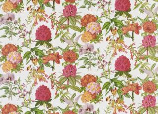 Фото - Обои Pierre Frey Veranda - 516245>