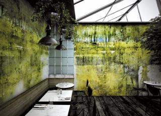 Фото - Обои Glamora Element - 400879>