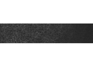 Фото - Обои Wall&Deco CODE 2017 CONTEMPORARY - 464473>