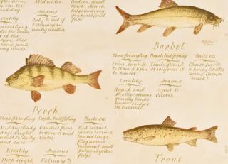 Фото - Обои Lewis & Wood Classical Wallpapers - 212597>