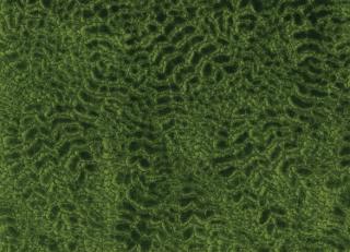 Фото - Ткани Nina Campbell Cathay Weaves - 260675>