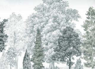 Фото - Обои Loymina Пейзаж 2 - 609821>