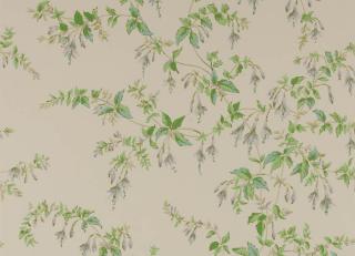Фото - Обои Colefax and Fowler - 570378>