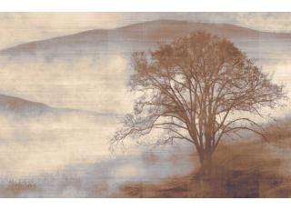 Фото - Обои Texam Id - 425559>