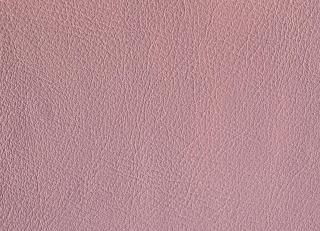 Фото - Аксессуары Pavoni Кожа Velvet - 589004>