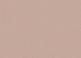 Фото - Обои Hookedonwalls New Elegance - 350430>