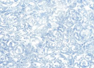 Фото - Обои Designers Guild Contarini - 199134>