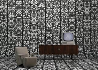 Фото - Обои Nlxl Studio Job - 340676>