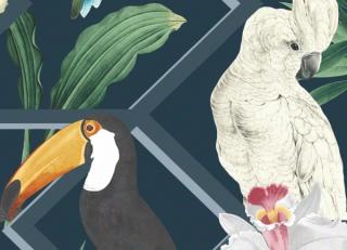 Фото - Обои Graham & Brown Explorer - 546240>