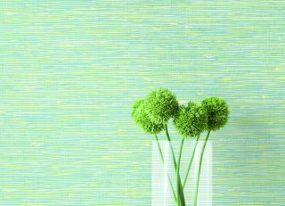 Фото - Обои Daisy Bennet Woodlands Resource - 618481>