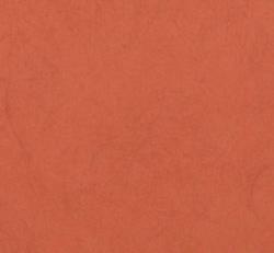 Фото - Коралловые флизелиновые обои на стену - 163239>