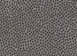 Фото - Обои Arlin Ambrosia - 627899>