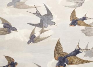 Фото - Обои Designers Guild John Derian - Picture Book - 412196>