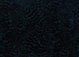 Фото - Ткани Nina Campbell Cathay Weaves - 260567>