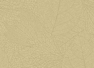 Фото - Обои Eijffinger Embrace - 579773>