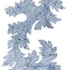 Фото - Обои Wall&Deco CODE 2013 OUT SYSTEM - 463622>