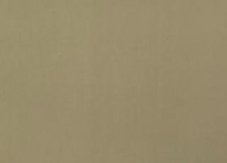 Фото - Ткани Дом CARO Plushery - 533197>