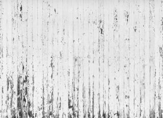 Фото - Обои Mr Perswall Captured Reality - 234468>