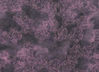 Фото - Обои Tres Tintas Wall A Porter - 198158>