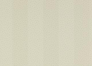 Фото - Обои Colefax and Fowler Chartworth Stripes  - 384146>