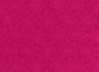 Фото - Обои Equipo DRT Senso - 405104>