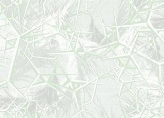 Фото - Обои Tres Tintas Sophie - 198138>