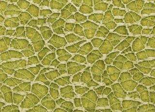 Фото - Обои Giardini Organic - 392993>